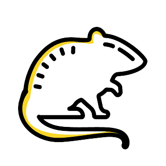 icon of a rat or rodent