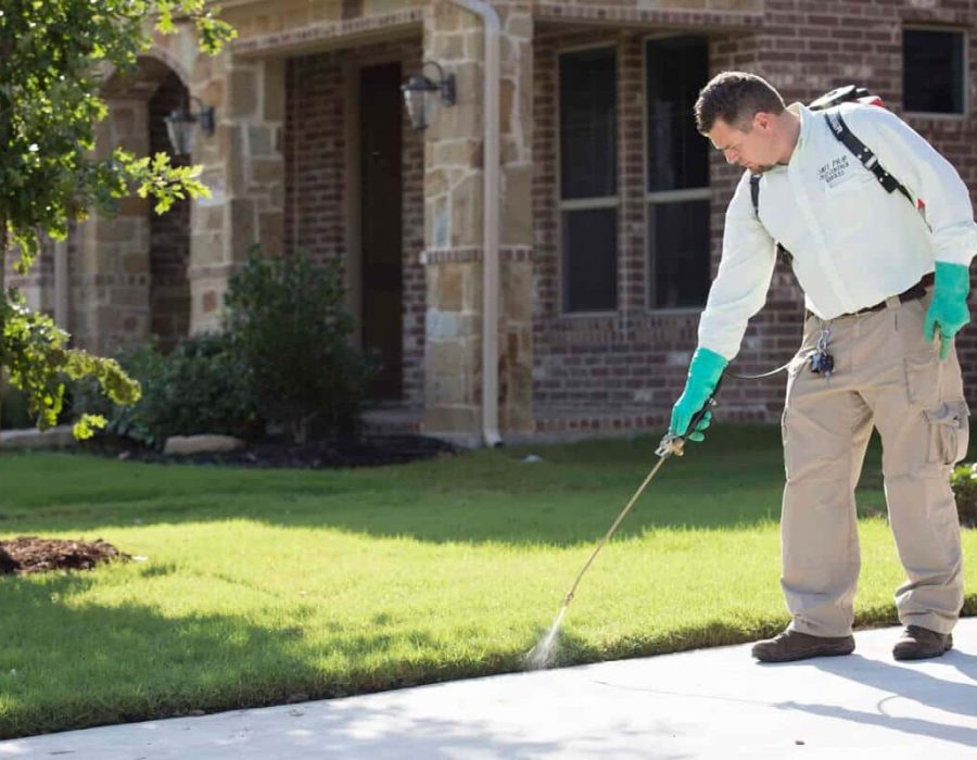 Exterminator