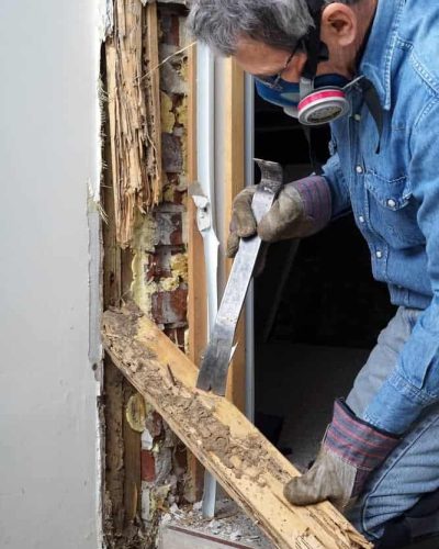 Termite Inspection